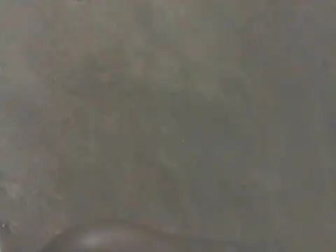 freaky-pussy2 - Freaky-pussy2's free webcam - UK Sex Cams