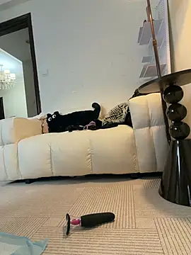 美女Xiaozuzongo1在线直播