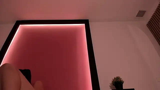 Ada_7 webcam