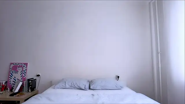 Milky___Way webcam