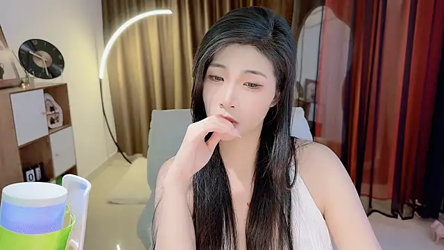 Vaidurya-Yolo webcam