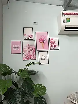 Nana-19 webcam