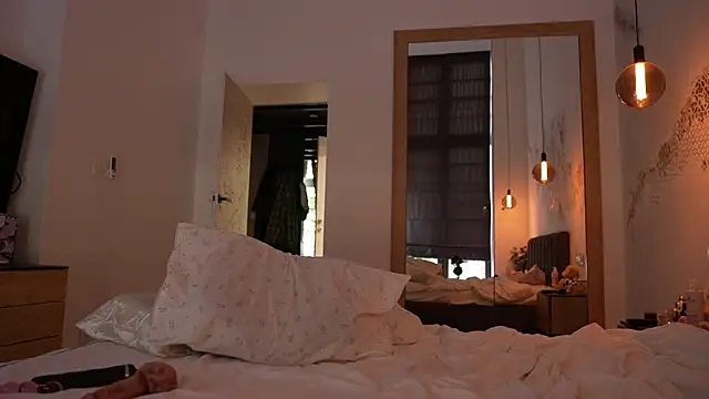 ibiddi webcam