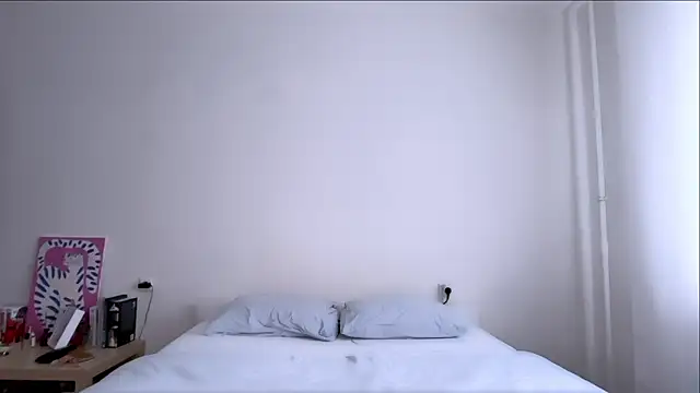 Milky___Way webcam