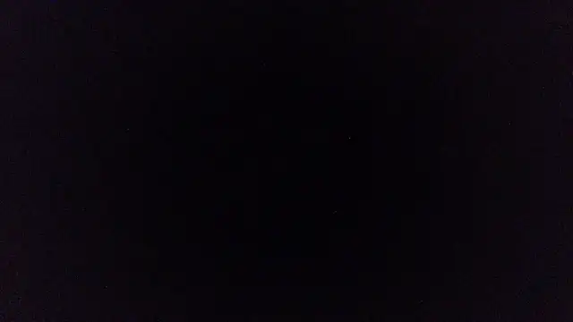 pinkycat webcam