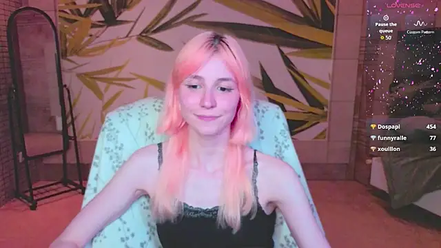 fleximona webcam