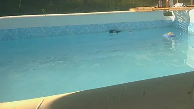 tixyanal70 webcam