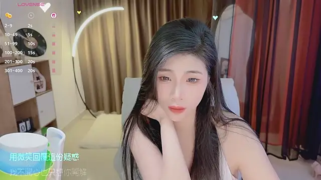 Vaidurya-Yolo webcam