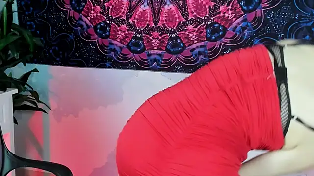 LidaDarknet webcam