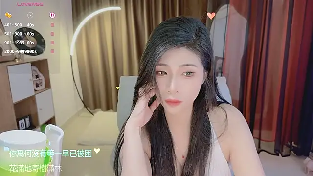 Vaidurya-Yolo webcam