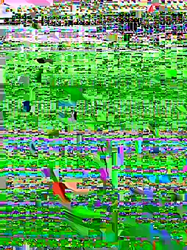 MariaStill webcam