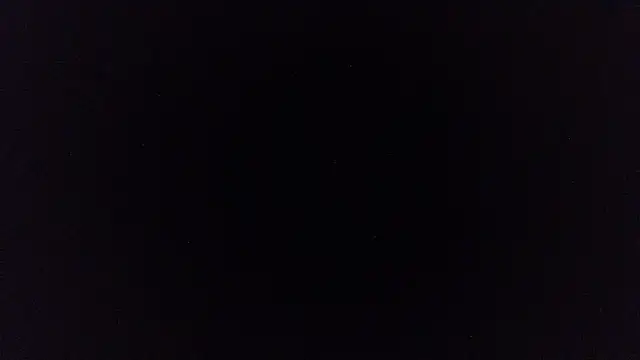 pinkycat webcam