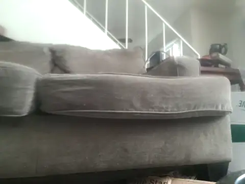 yourMasterisBored webcam