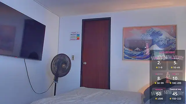 RJBarto webcam