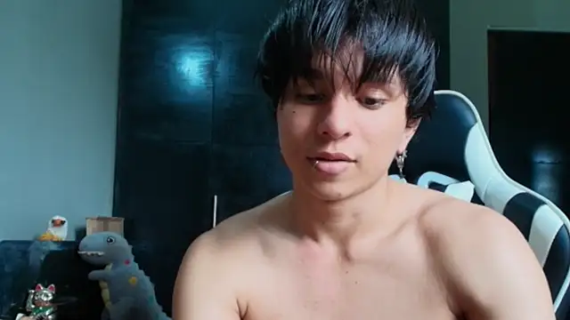 raikougame webcam