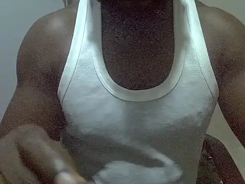 cockmatyser webcam