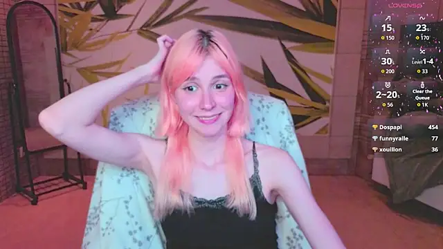 fleximona webcam