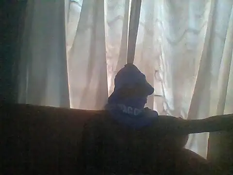 S_C1 webcam