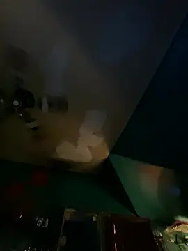 charactrzero webcam