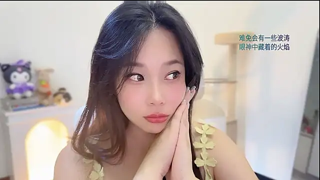 facai-feifei webcam