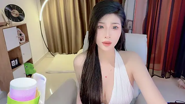 Vaidurya-Yolo webcam