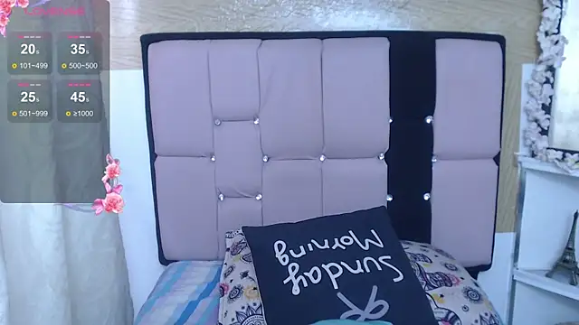 palmer_mIix webcam