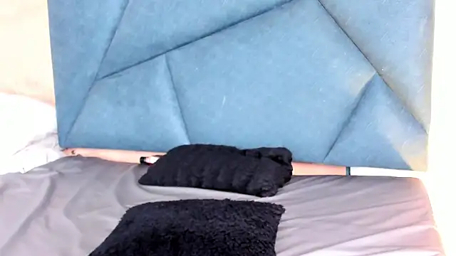 LaurentFerrer webcam