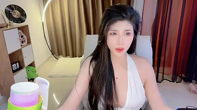 Vaidurya-Yolo webcam