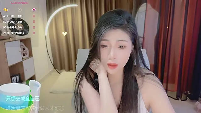 Vaidurya-Yolo webcam