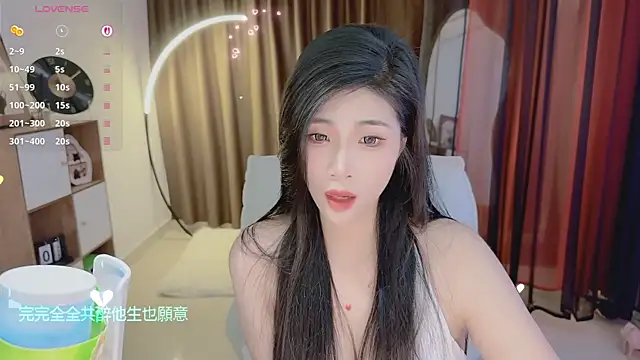 Vaidurya-Yolo webcam