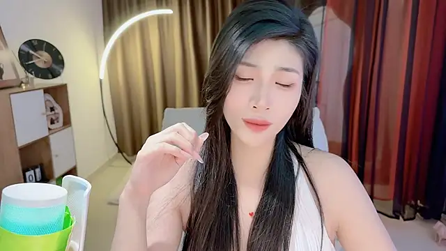 Vaidurya-Yolo webcam