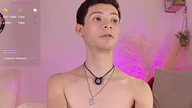 VicenteFerrer webcam