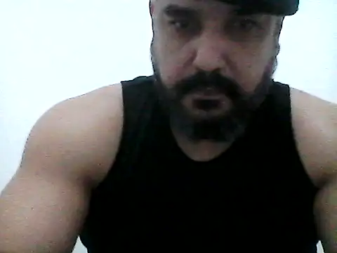 stallony webcam