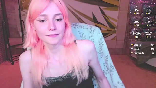 fleximona webcam