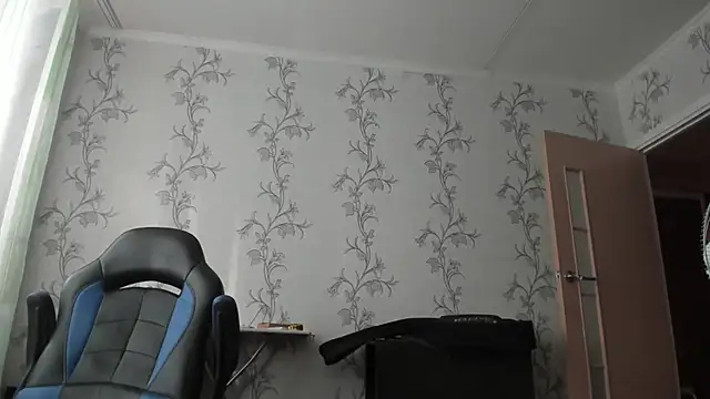 SanFrantsisko webcam