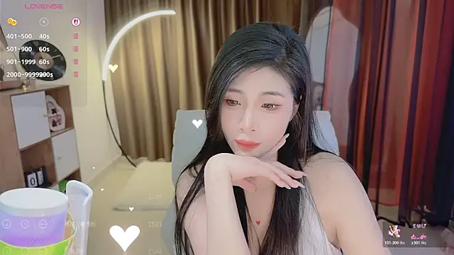 Vaidurya-Yolo webcam