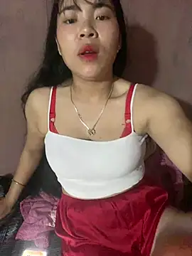 Nul_chal webcam