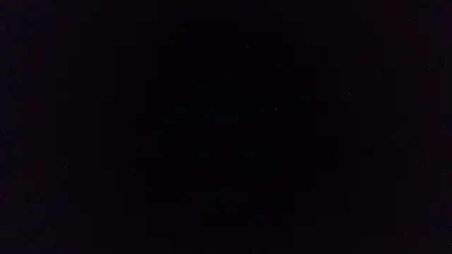 pinkycat webcam