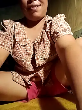 Ip34 webcam