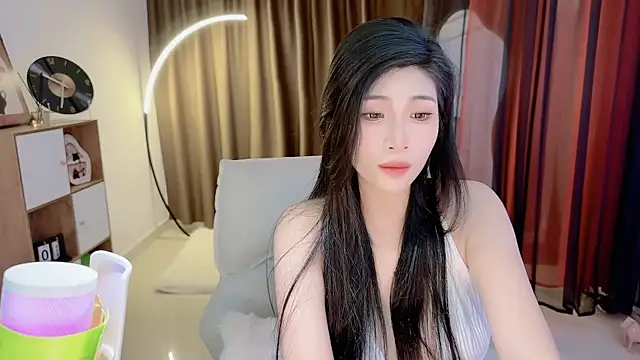 Vaidurya-Yolo webcam