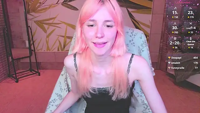 fleximona webcam