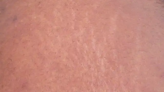 VanessaGlenn webcam
