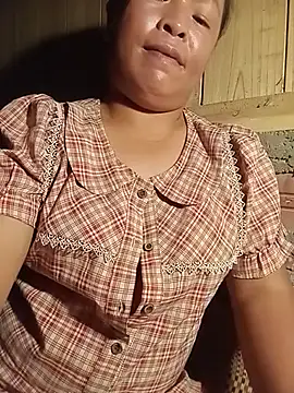 Ip34 webcam