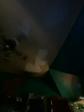 charactrzero webcam