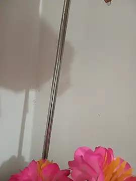 Tanha18 webcam