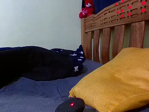 Roseroca33 webcam