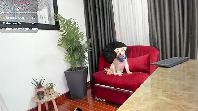 VictoriaPaker webcam