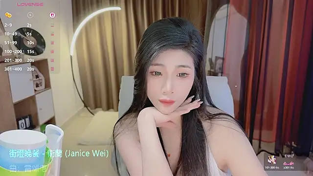 Vaidurya-Yolo webcam