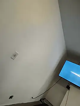 Bartoloparica webcam