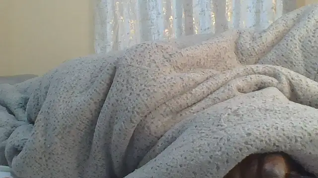 ndivhuwomuleya webcam